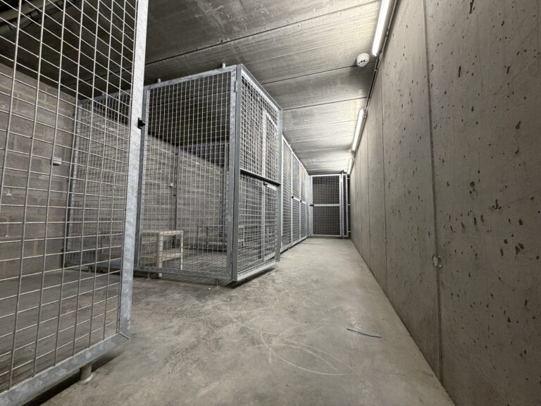 Boxes de rangement vélos au -1