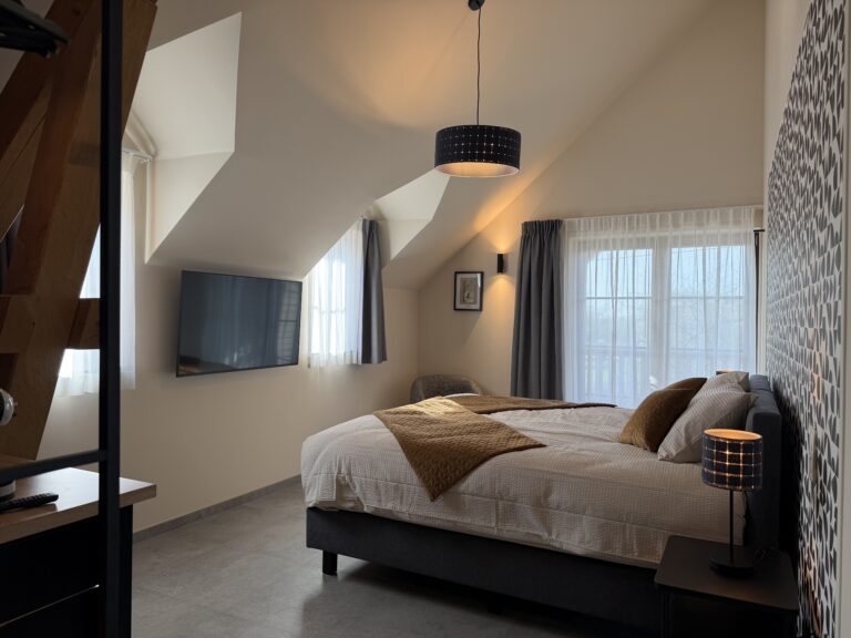 Chambre double avec terrasse - 1ᵉʳ étage